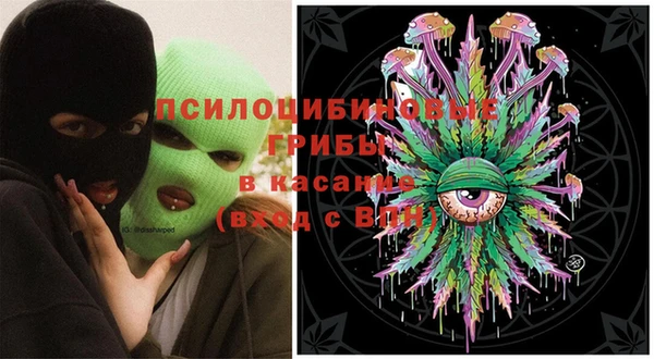 мдпв Пестово
