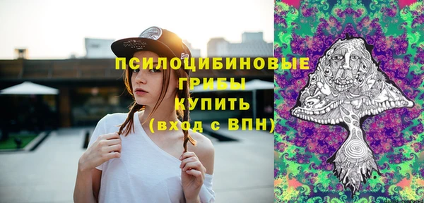 сатива Покров