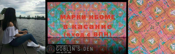 индика Дедовск