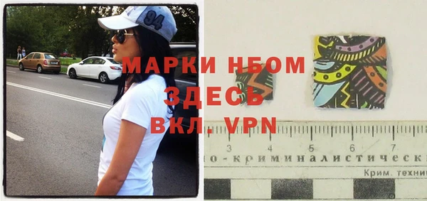 мдпв Пестово